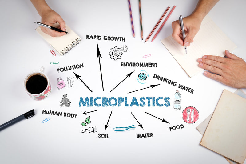 What Are Microplastics? How They Get Into Our Bodies and Why It Matters
