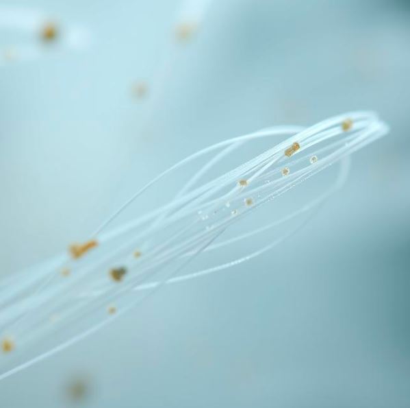 Why Microplastics Are a Big Deal for Human Health